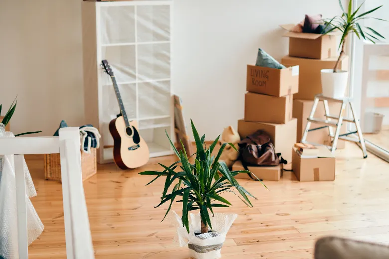 Vendre un appartement loué : obligations, conseils