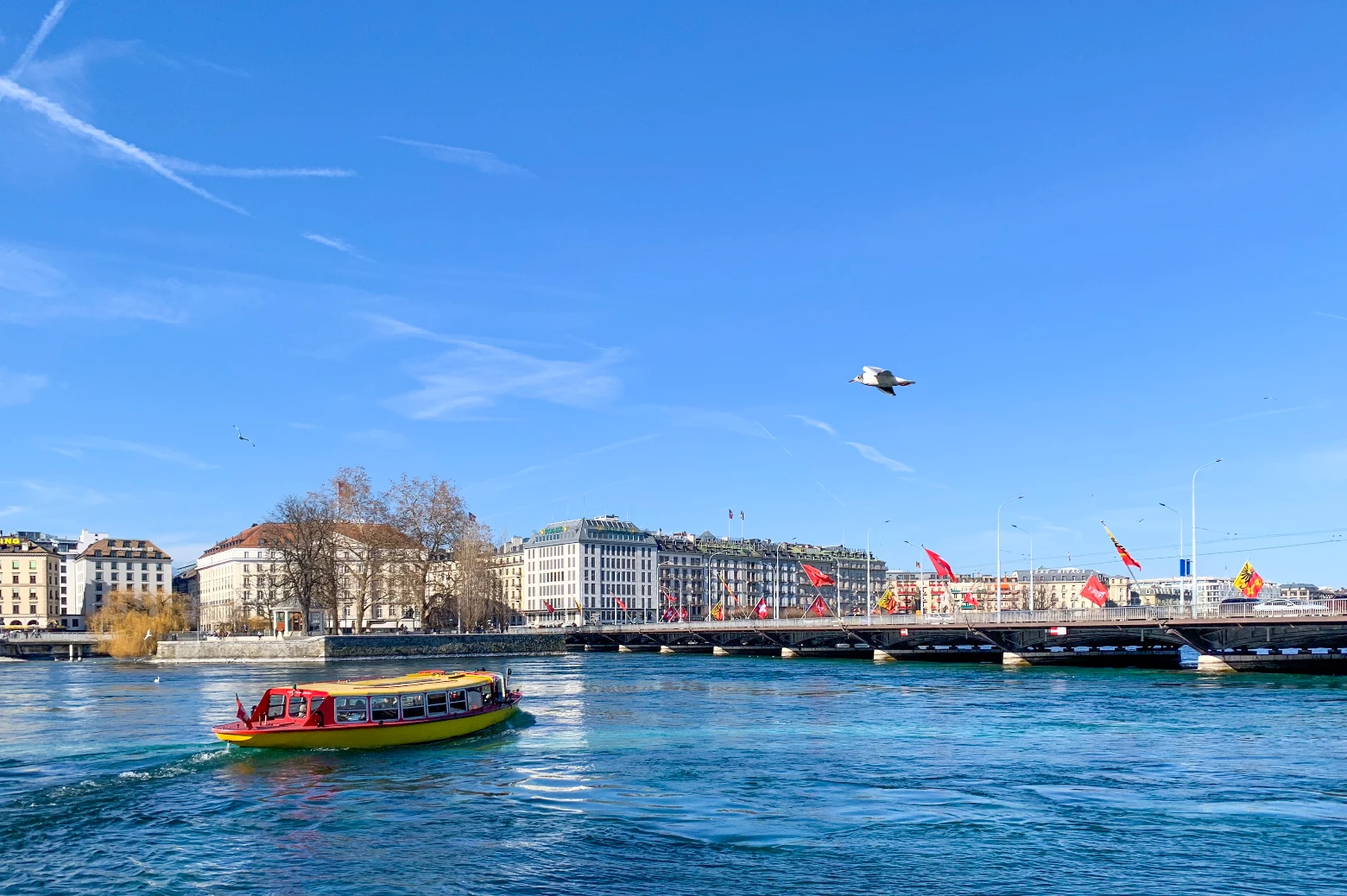 Acheter un bien immobilier à Genève en 2025